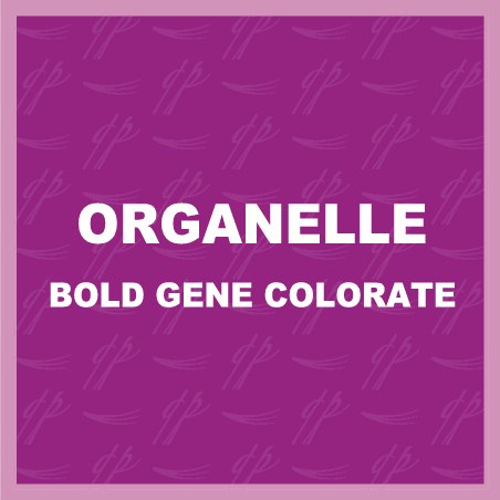 Organelle BOLD Tavă Colorat