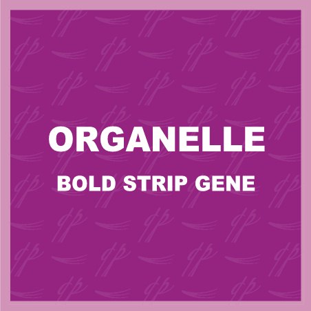 Organelle BOLD Strip