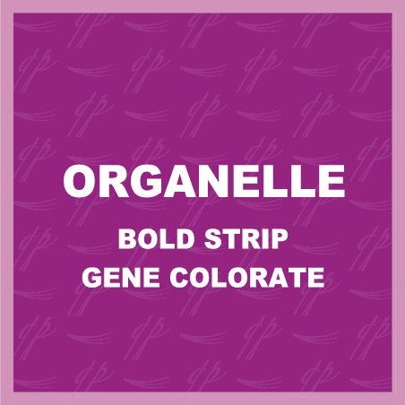 Organelle BOLD Strip Colorat