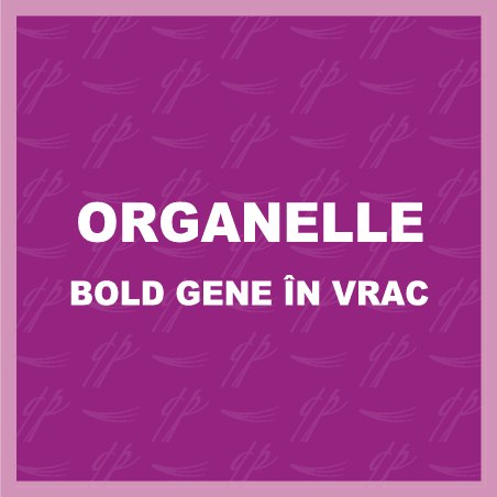 Organelle BOLD În vrac